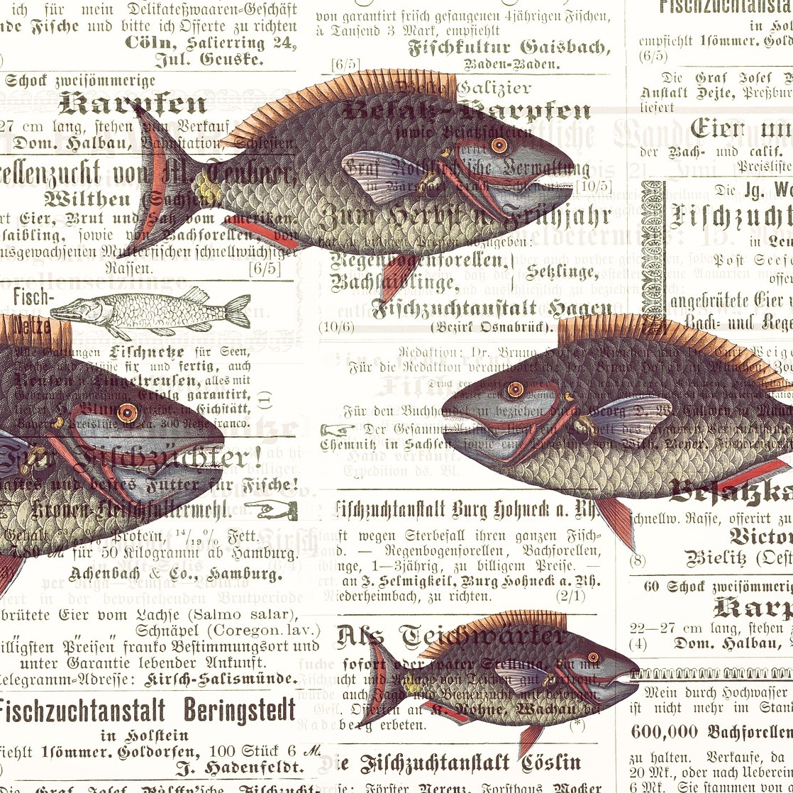 Die Zwiebelfische. Im Hintergrund ist der Ausschnitt einer alten Zeitung zu sehen. In Fraktur-Schrift sind Anzeigen rund um die Fischzucht abgedruckt. Im Vordergrund sind die Zeichnungen von vier Fischen zusehen. Drei von ihnen schauen nach rechts, ein einzelner schaut nach links. Bild von Susann Mielke via Pixabay.